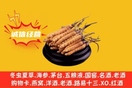 罗甸县回收冬虫夏草